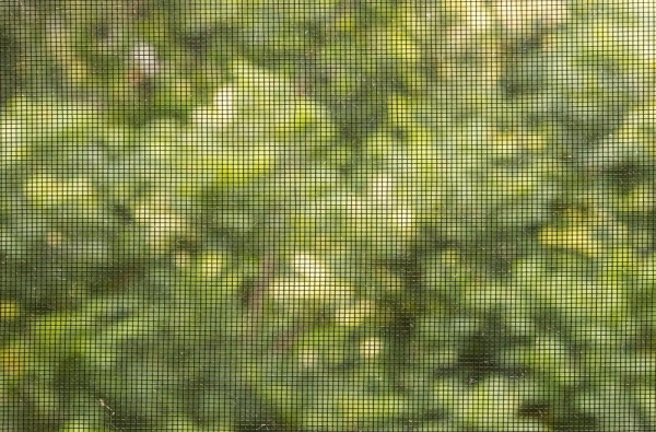 10 Reasons Why You Need to Invest in Custom Window Screens in Denver
