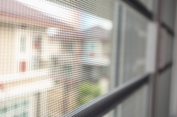5 Materials to Consider for Window Screen Replacements in Denver