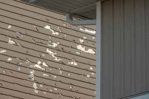 Can Your Siding Survive a Hailstorm?